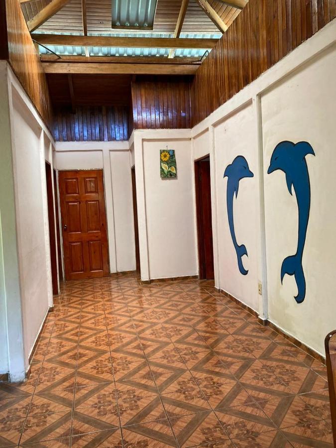شقة Betania House Drakes Bay المظهر الخارجي الصورة